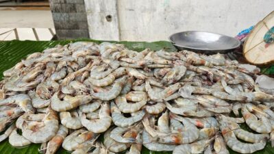 Harga Ikan dan Udang di Pasar Induk Sabang Stabil
