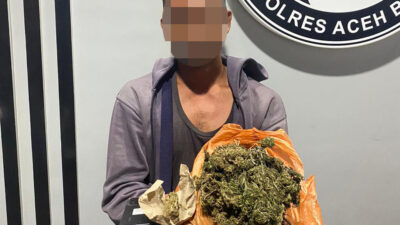 Satresnarkoba Polres Aceh Barat Tangkap Pelaku Penyalahgunaan Ganja, Amankan Barang Bukti Ganja
