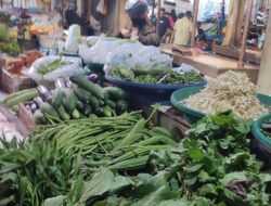 Harga Bahan Pokok di Takengon Stabil, Sayuran Turun