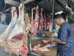 Tradisi Meugang di Aceh, Warga Sabang Mulai Berburu Daging