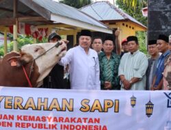 Bupati TRK Salurkan Sapi/Kerbau Bantuan Presiden RI kepada Warga Terdampak Bencana di Darul Makmur dan Tripa Makmur