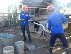 Damkar Aceh Besar Evakuasi Ular Piton di Lam Lumpu Peukan Bada