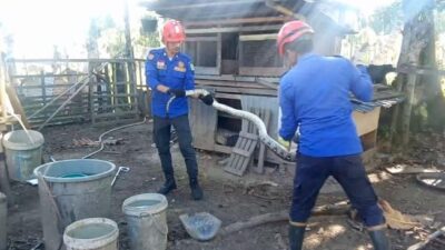 Damkar Aceh Besar Evakuasi Ular Piton di Lam Lumpu Peukan Bada