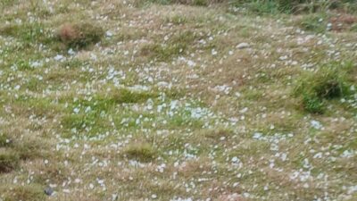 Hujan Es Guyur Atu Lintang, Petani Kopi Khawatir Panen Terganggu