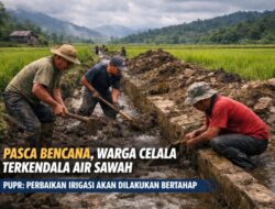 Pasca Bencana Warga Celala Terkendala Air Sawah, PUPR Janji Perbaikan Bertahap