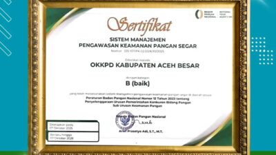 Dinas Pangan Aceh Besar Terima Penghargaan Nasional OKKPD Dengan Kategori Baik
