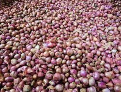 Pasokan Lancar, Harga Bumbu Dapur di Sabang Stabil