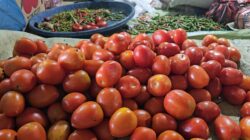Harga Tomat di Sabang Melonjak, Tembus Rp20 Ribu per Kilogram