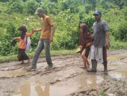 Pasca Bencana, Warga Beutong Ateuh Keluhkan Kondisi Jalan Masih Berlumpur