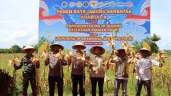 Dukung Swasembada Pangan, Polres Aceh Barat Hadiri Panen Jagung Kuartal II di Samatiga