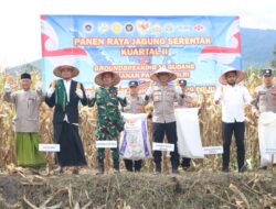 Dukung Ketahanan Pangan Nasional, Polres Aceh Besar Panen Raya Jagung Serentak Kuartal II Tahun 2026