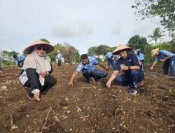 Dukung Ketahanan Pangan, Lanud MUS Tanam Jagung Pipil dan Singkong