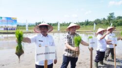 Wabup Aceh Besar dan Pejabat Kementan Tanam Padi Serempak di Gampong Barueh Kota Jantho