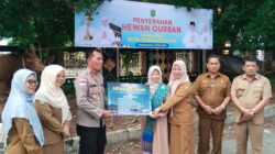 Gandeng BUMD dan Swasta, Pemko Subulussalam Salurkan 24 Hewan Kurban