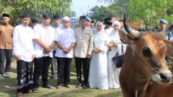 Polda Aceh Sembelih 46 Ekor Hewan Kurban untuk Masyarakat pada Iduladha 1447 H