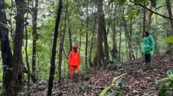 Hari Kedua Pencarian Pendaki Hilang di Gunung Seulawah Belum Membuahkan Hasil