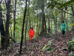 Hari Kedua Pencarian Pendaki Hilang di Gunung Seulawah Belum Membuahkan Hasil