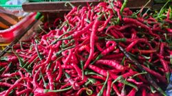 Harga Bumbu Dapur di Sabang Turun, Sayuran Relatif Stabil