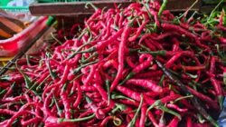 Harga Bumbu Dapur di Sabang Turun, Sayuran Relatif Stabil