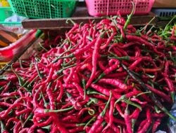 Harga Bumbu Dapur di Sabang Turun, Sayuran Relatif Stabil