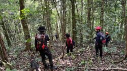 Hari Ketiga Pencarian Pendaki Hilang di Gunung Seulawah Masih Nihil, Operasi Dilanjutkan Besok