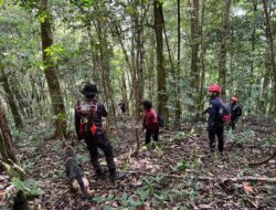 Hari Ketiga Pencarian Pendaki Hilang di Gunung Seulawah Masih Nihil, Operasi Dilanjutkan Besok