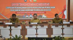 Di Hadapan Mendagri, Gubernur Mualem Minta Percepatan Pemulihan Sawah dan Infrastruktur