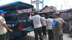Resahkan Warga, Satpol PP-WH Bersama Linmas Kota Subulussalam Amankan Seorang Wanita ODGJ