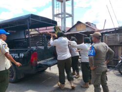 Resahkan Warga, Satpol PP-WH Bersama Linmas Kota Subulussalam Amankan Seorang Wanita ODGJ