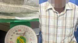 Pengembangan Kasus Ganja, Polres Aceh Barat Amankan Seorang Tersangka dan Sita 1,5 Kilogram Ganja