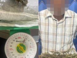 Pengembangan Kasus Ganja, Polres Aceh Barat Amankan Seorang Tersangka dan Sita 1,5 Kilogram Ganja