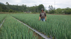 Herry Palawija, Petani Milenial yang Menjadi Pengusaha Pertanian Inspiratif
