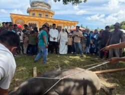 Bupati Aceh Singkil dan Keluarga Berkurban di Masjid Baiturrahman Lae Butar