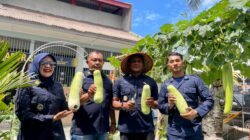Ubah Stigma Penjara, Lapas Meulaboh Bentuk Warga Binaan Mandiri Melalui Ketahanan Pangan Nasional