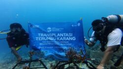 PT Pupuk Iskandar Muda Perkuat Konservasi Laut Lewat Transplantasi Terumbu Karang