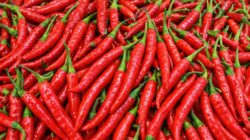Harga Bahan Pokok di Takengon Mayoritas Stabil, Sayur dan Buah Fluktuasi