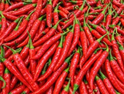 Harga Bahan Pokok di Takengon Mayoritas Stabil, Sayur dan Buah Fluktuasi