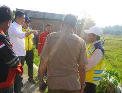Tinjau Rehabilitasi Sawah di Aceh Timur, Sekda Aceh Dorong Percepatan Pemulihan Sektor Pertanian