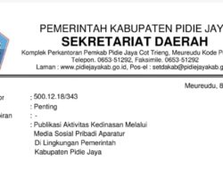 ASN Pijay Diminta Aktif Bagikan Aktivitas Kedinasan di MedSos Pribadi