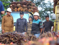 Cek Harga Pembelian TBS, Bupati Aceh Barat Lakukan Sidak ke Dua Pabrik Kelapa Sawit
