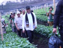 Menteri Pertanian Tinjau Pengembangan Kopi Gayo di Bener Meriah