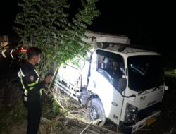 Truk Colt Diesel Bermuatan Kelapa Sawit Laka Lantas di Subulussalam
