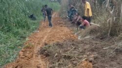 Puluhan Tahun Tak Tersentuh Pemerintah, Warga Desa Kuta Beringin Secara Swadaya Perbaiki Jalan Rusak