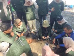 Konservasi Dugong Pertama di Aceh, Natural Aceh dan Yayasan KEHATI Tanam Lamun di Lamreh