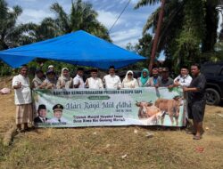 Bupati Aceh Singkil Sampaikan Terima Kasih kepada Presiden Prabowo atas Bantuan Sapi Kurban untuk Masyarakat