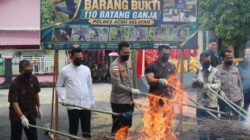 Musnahkan Barang Bukti Ganja, Kapolres Aceh Selatan Tegaskan Komitmen Berantas Narkotika
