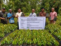 Aceh Jaya Terima Bantuan 25 Ribu Bibit Hortikultura untuk Petani di Sembilan Kecamatan
