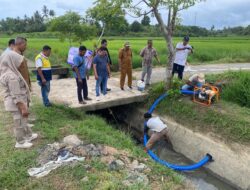 Pemkab Aceh Besar Komit Jaga Produktivitas Sawah Musim Kemarau
