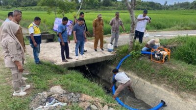 Pemkab Aceh Besar Komit Jaga Produktivitas Sawah Musim Kemarau