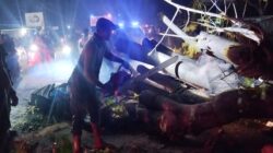 Pohon Tumbang Timpa Pick Up di Pidie, Tujuh Orang Meninggal Dunia